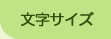 文字サイズ