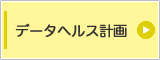 データヘルス計画